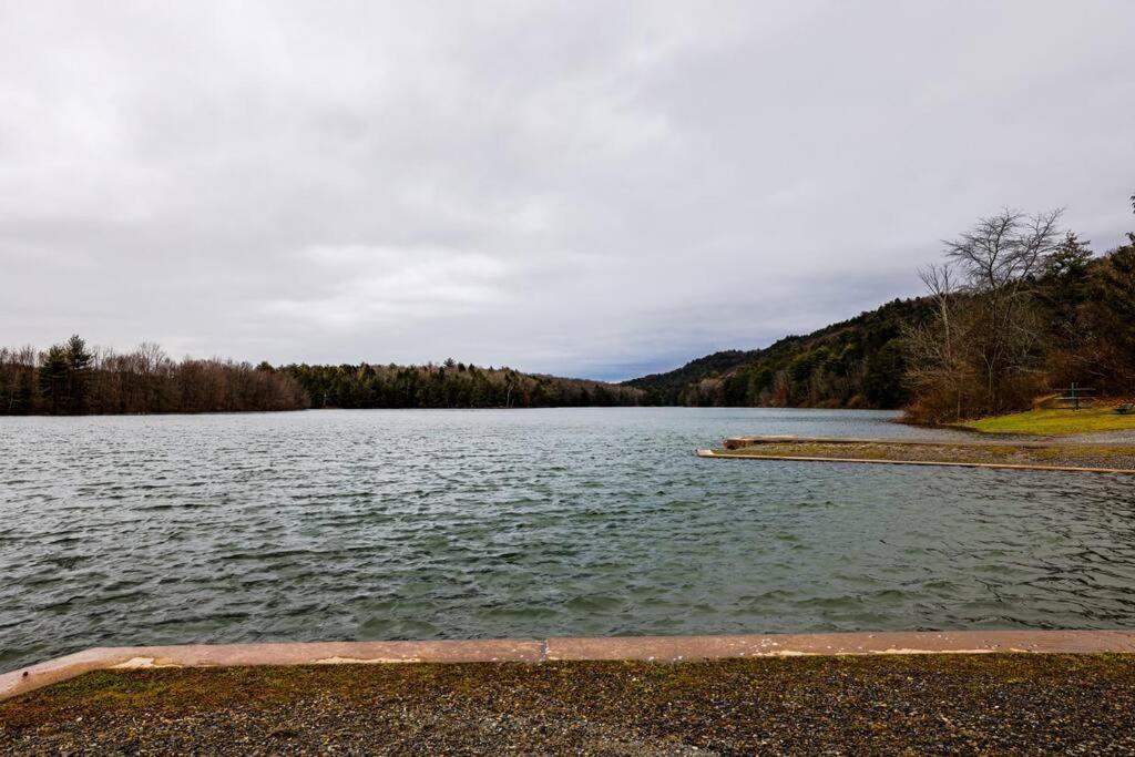 Luxury-Cabin Mount View *Gym*Game Room *Fire Place Lehighton Luaran gambar